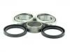 Kit, roulement de roue Wheel Bearing Rep. kit:542350077