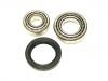 Wheel Bearing Rep. kit:5 007 027