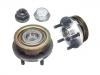 轮毂轴承单元 Wheel Hub Bearing:271 645